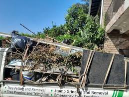 Professional Junk Removal in Lake Stevens, WA